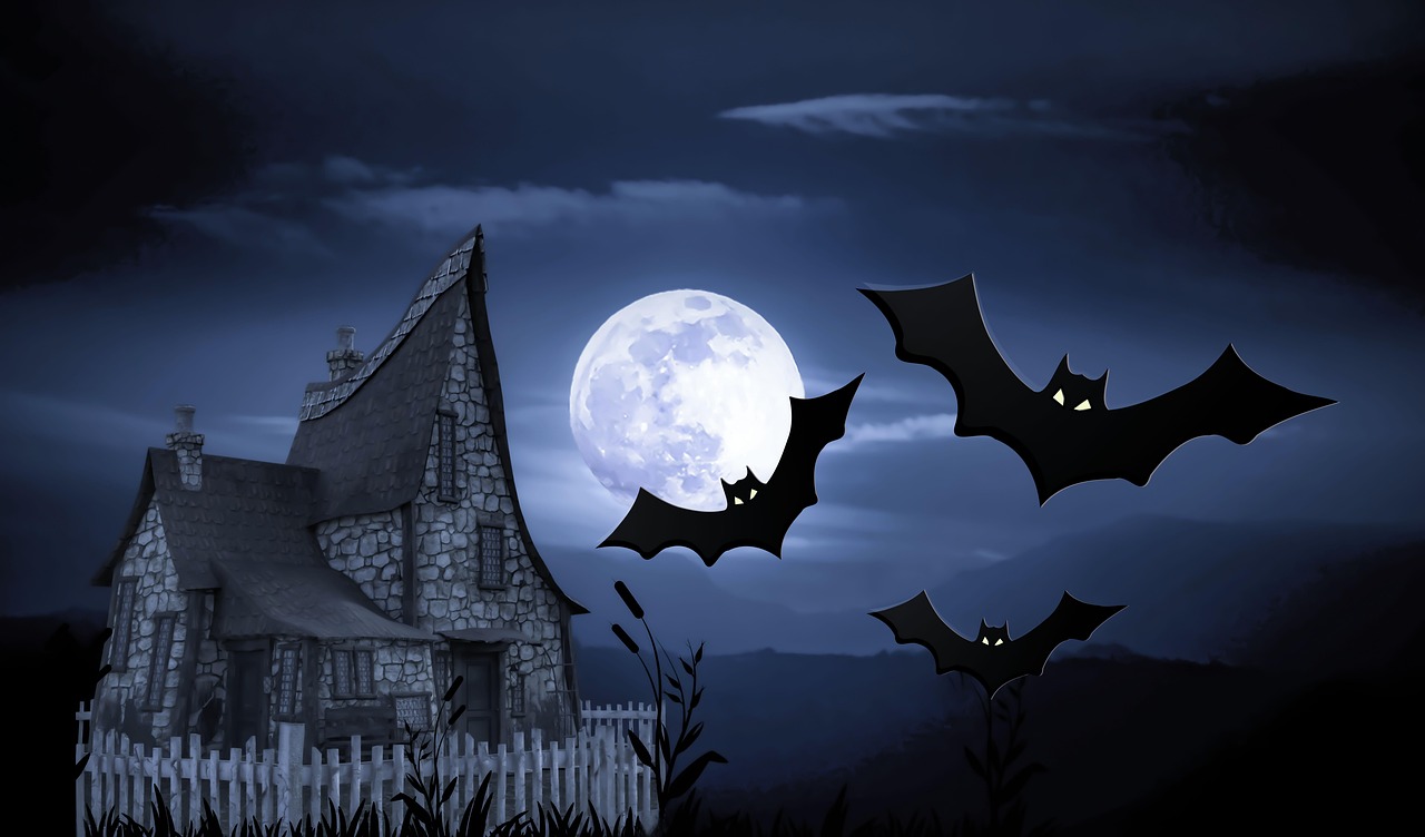 halloween, case, haunted, horror, deceased party, celebration, fantasy, moon, darling, bat, vampire, night, chilling, october, ghost, dark, halloween, halloween, halloween, halloween, halloween, horror, bat, bat, vampire, ghost, ghost