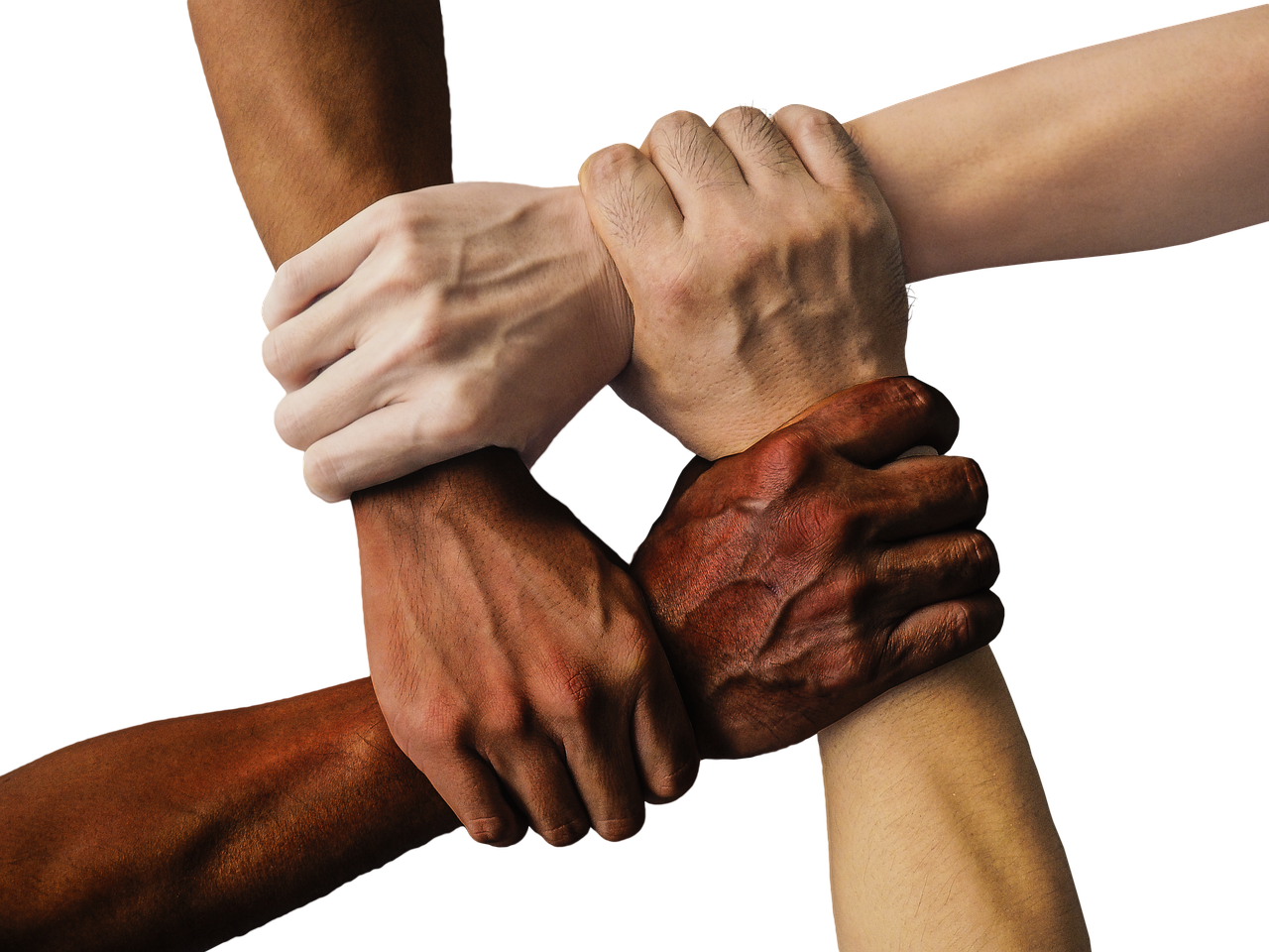 About hands, team, united, together, people, unity, teamwork, group, hand in hand, union, support, friendship, cooperation, community, holding, connection, harmony, diversity