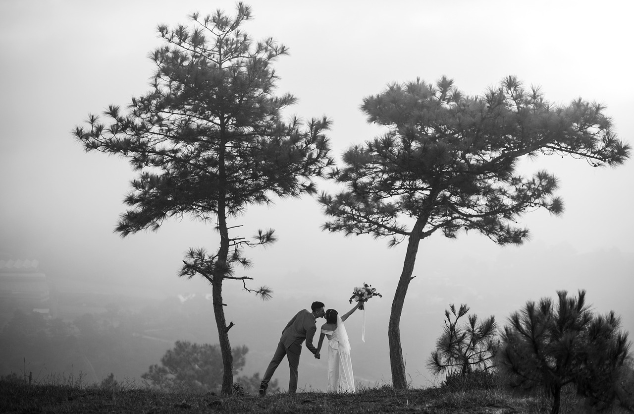 wedding, couple, kiss, black and white, love, happy, romantic, trees, fog, bride, groom, outdoors, nature