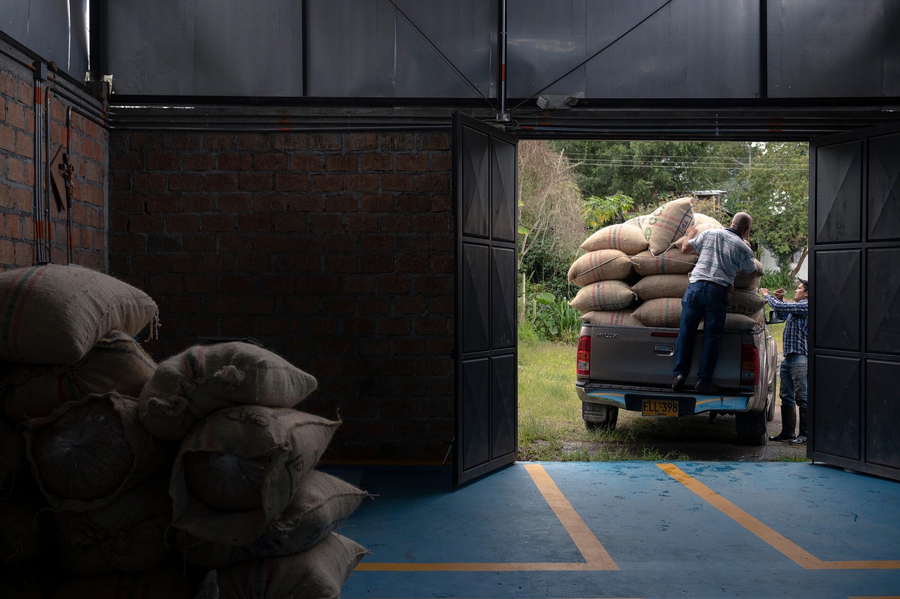 Home farming, colombian coffee, colombia, harvest, huila, pitalito, agriculture, coffee farming, farming, colombia, colombia, colombia, colombia, colombia
