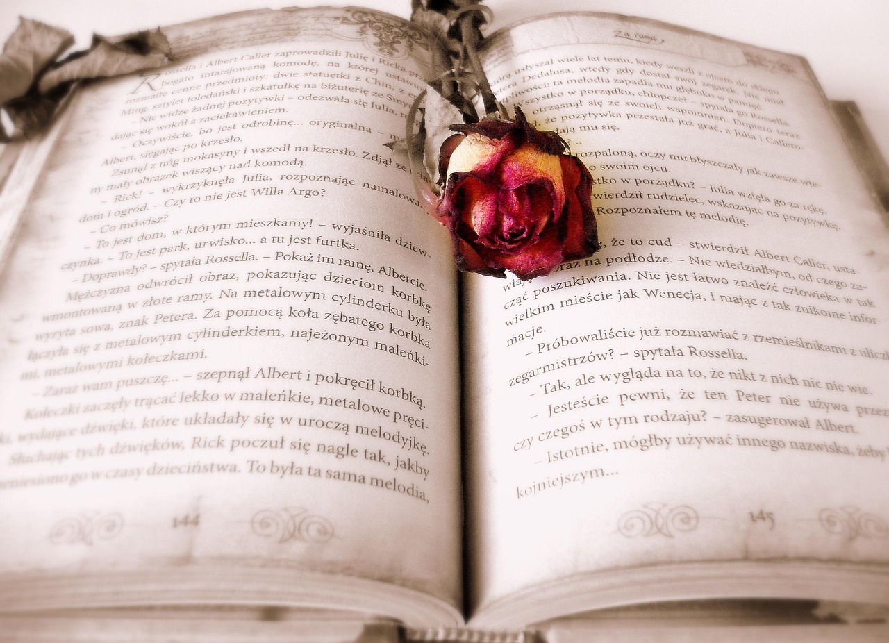 book, rose, book mark, open book, pages, chapter, novel, rose flower, read, literature, reading, bookworm
