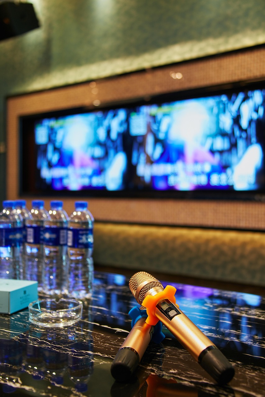 Amenities ktv room, karaoke, microphones, room, entertainment, karaoke room