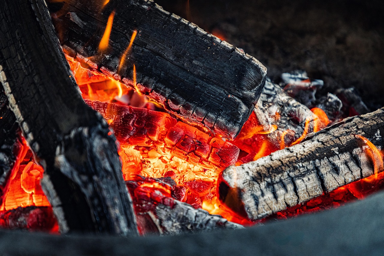 fire, hearth, campfire, wood, charred, bbq