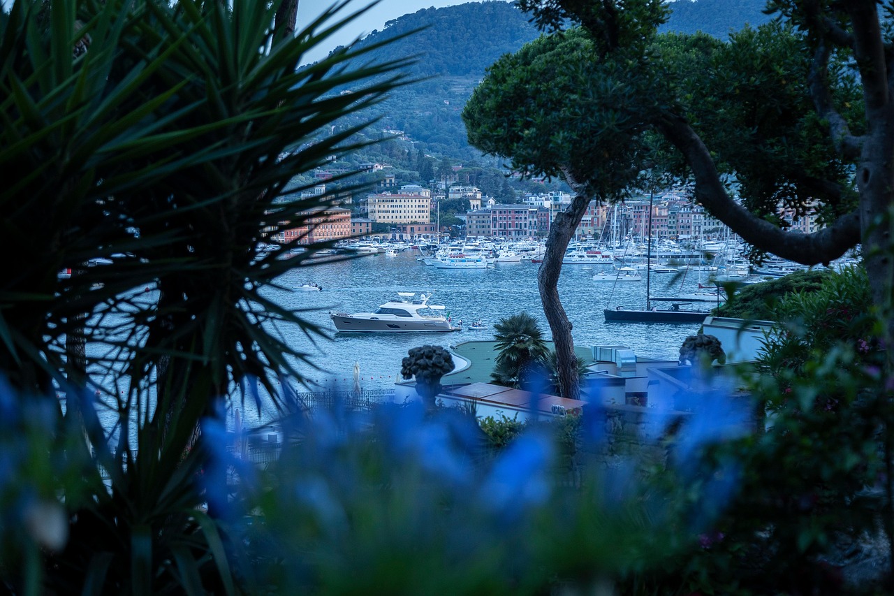 About liguria, sea, island, town, italy, santa margherita ligure, vacation, nature, tourism, yacht, boats, landscape, portofino