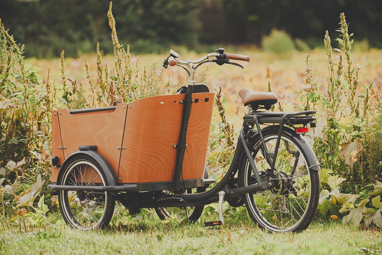 Home bicycle, to go biking, transport, cargo bike, bike tour, wheel, meadow, nature, landscape, field