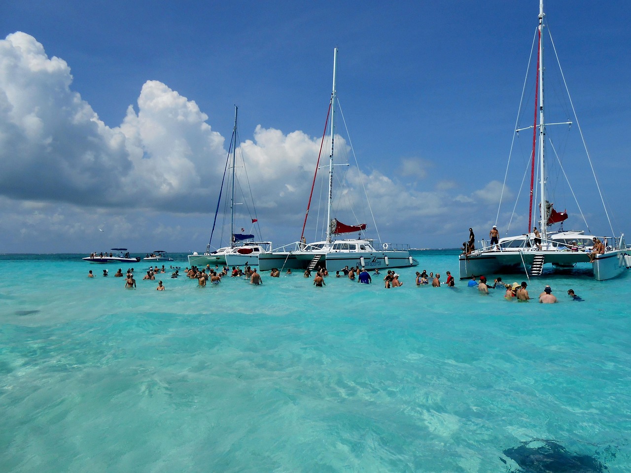 About grand cayman, cayman islands, stingray city, stingrays, caribbean, nature, island, vacation, scenic, cayman, blue, travel, ocean, blue island