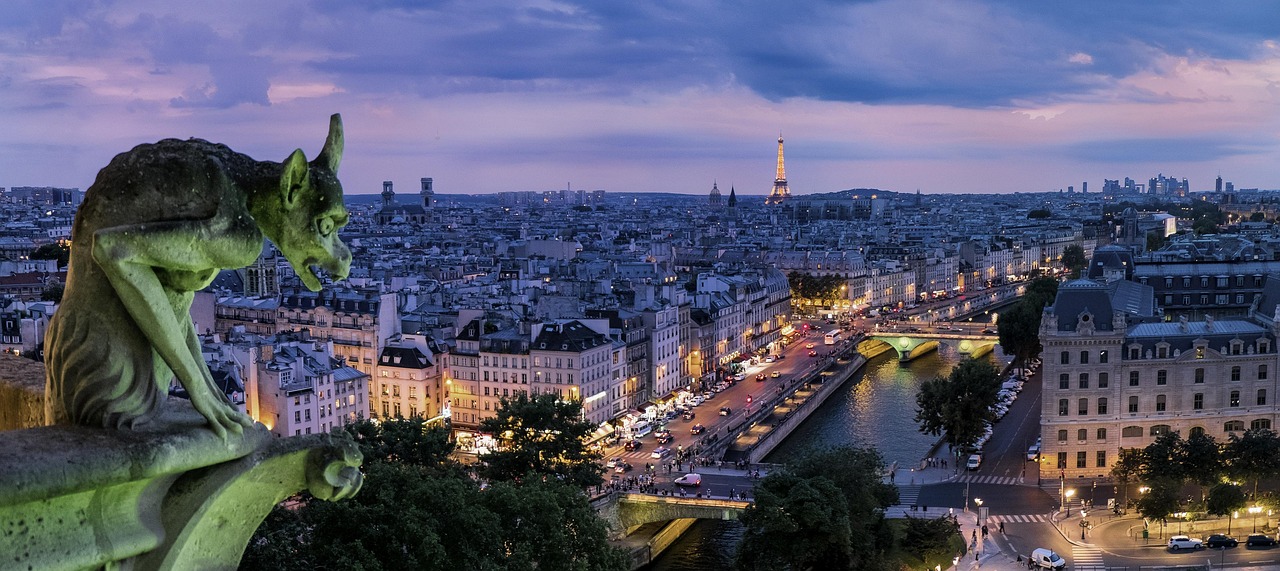 paris, gargoyle, france, architecture, buildings, capital, gothic, city, city lights, cityscape, europe, historic, historical, landmark, river, seine, evening, night, paris, paris, paris, paris, paris, france, france