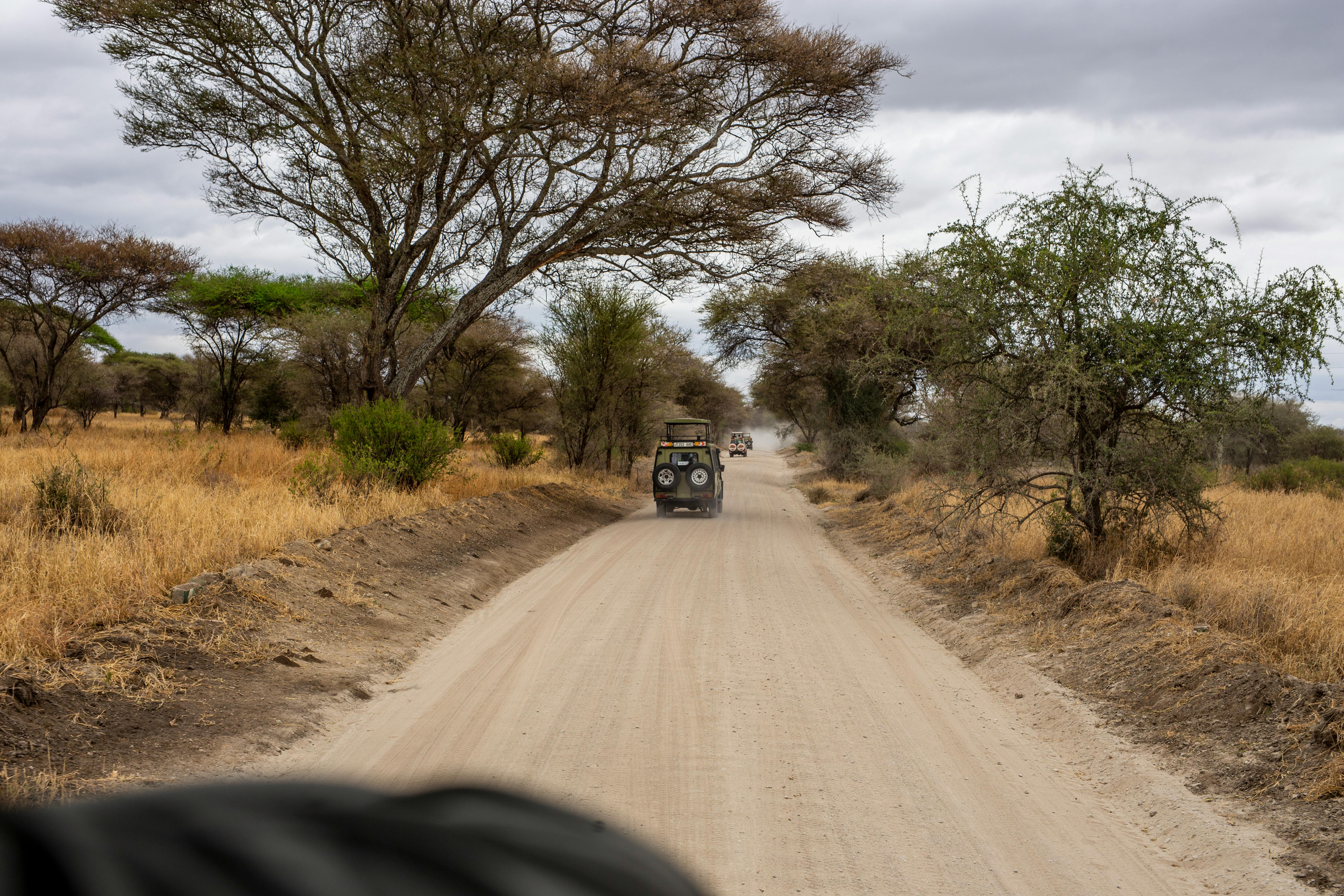 A jeep drives through the dusty roads of an African savanna surrounded by trees and open landscape.